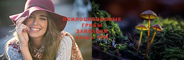 спиды Абаза