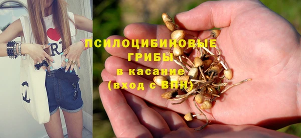 прущая мука Абинск