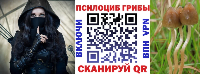 Псилоцибиновые грибы MAGIC MUSHROOMS  МЕГА   Братск 