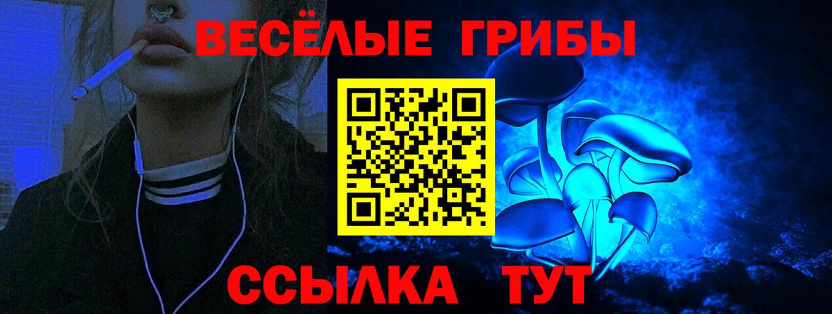 где можно купить наркотик  Галлюциногенные грибы Psilocybine cubensis  Вход с VPN  Братск 