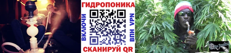 продажа наркотиков  кракен онион  Шишки марихуана семена  Братск 